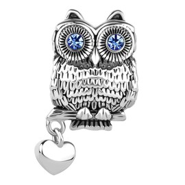 FGT Wise Owl Charm for Bracelets Blue Eye CZ Silver Lucky Bead Love Heart Sister Friends BFF Daughter Granddaughter Birthday