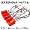 Leap Raupe [With Serial Number] Anti-Swap Tag, Numbered Security Tag,