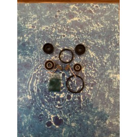 Dolphin PRO REBUILD KIT DOLPHIN POOL ROBOT IMPELLER MOTOR 52zy24-50-29 5500033 Brushes