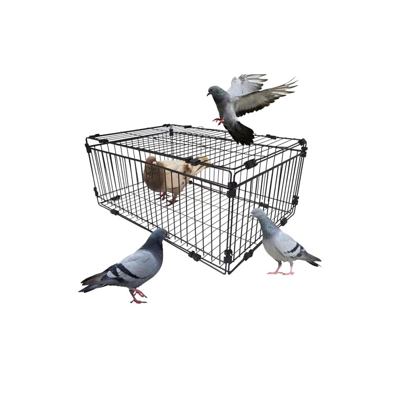 Bird Trap Cage Pigeon Quail Chicken Outdoor Trapping Live Small