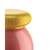 Alessi Totem Domestici ES18 2 - Design Salt, Pepper and