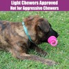 Chupete para perro de látex de 10 cm, los colores
