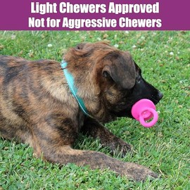 Chupete para perro de látex de 10 cm, los colores pueden variar                                                                                       