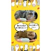 PERSIMONE Clothes Brush Double-Sided Suit Clothes Dusting Cat Hair Cat