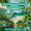 Black Diamond Stoneworks Ultimate UV/Restore Spa & Hot Tub Cover
