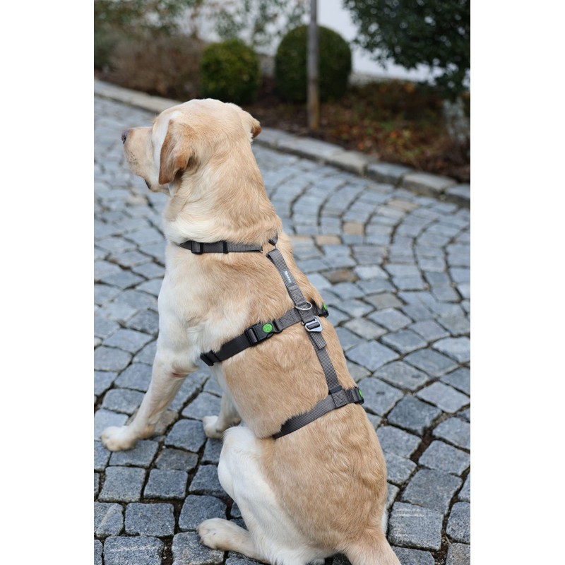 Kerbl 80040 Miami Panic Harness, Escape Proof, Grey, 38-52 cm