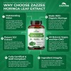 Zazzee Organic Moringa 20:1 Extract, 20,000 mg Strength, 120 Vegan