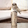 Barn Owl on Driftwood Wooden Perch Base 10x25x10cm Decorative Ornament