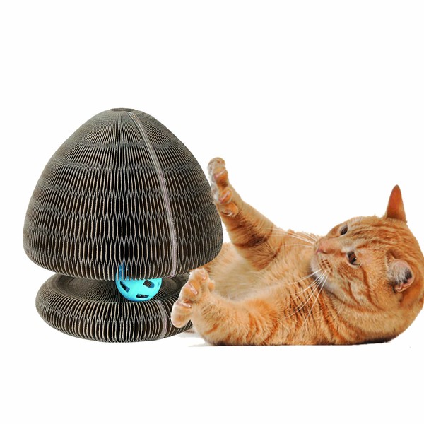 Cat Scratcher Cardboard with Bell Ball Toy for Indoor Cats,