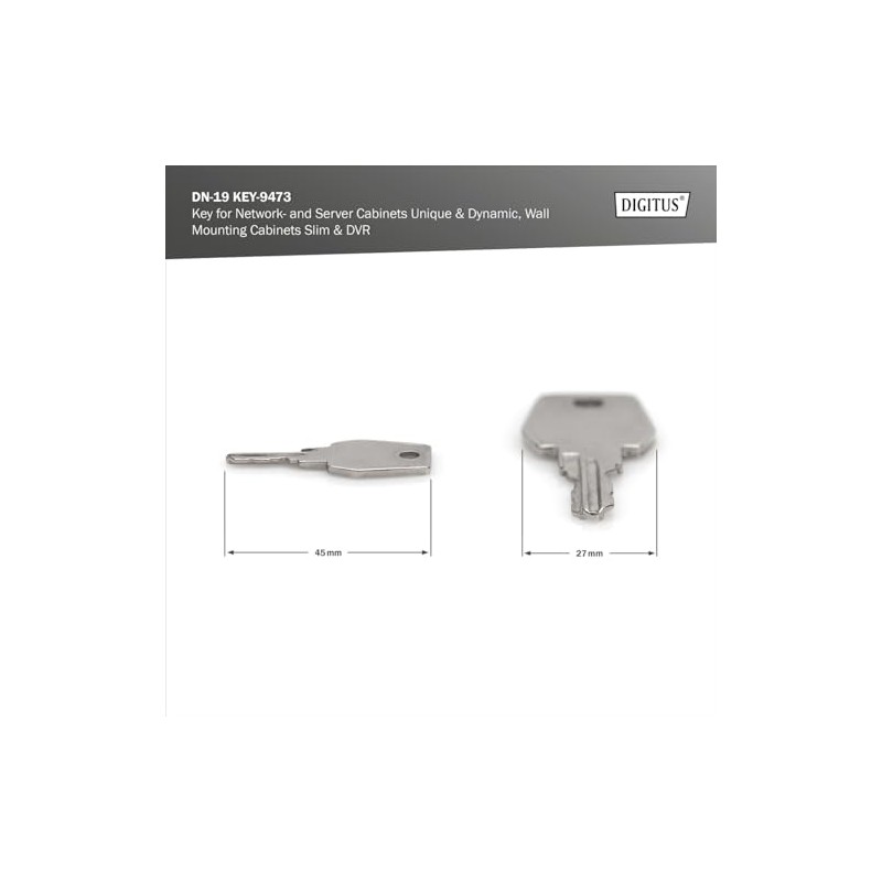 DIGITUS Professional DN-19 KEY-9473 Key, Silver
