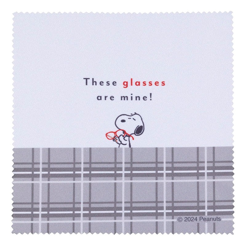 Kamio Japan 220716 Glasses Case with Cloth [My Glasses], white