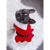 Parisian Pet Dog Cat Pet Xmas Holiday Christmas Mrs Claus