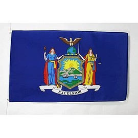AZ FLAG New York Flag 3' x 5' - US state of New York flags 90 x 150 cm - Banner 3x5 ft