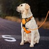 IVY&LANE Throat Friendly Adjustable Dog Harness, Reflective, Breathable, Pull Prevention,