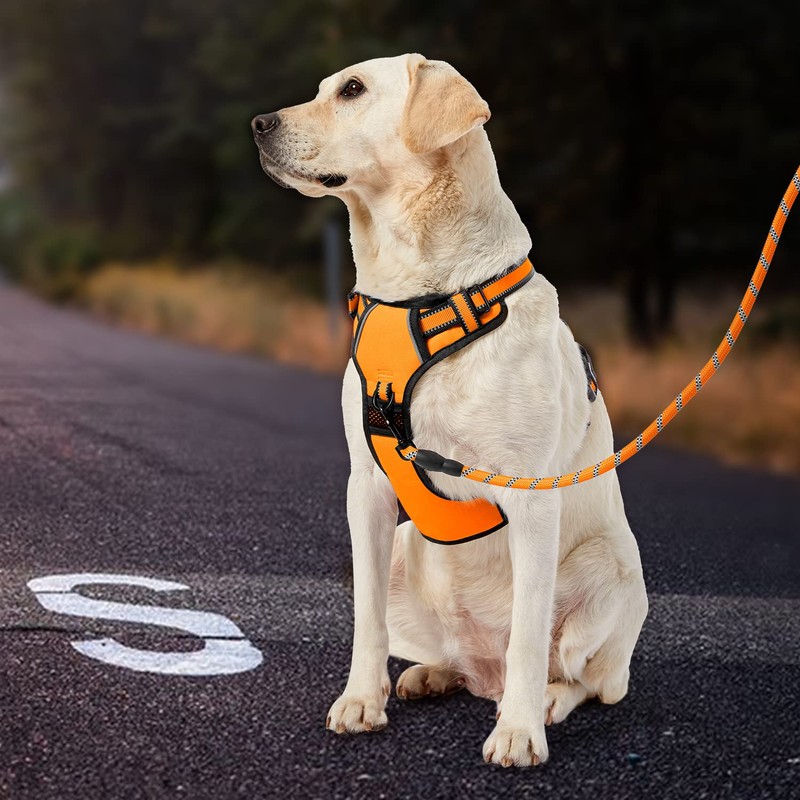 IVY&LANE Throat Friendly Adjustable Dog Harness, Reflective, Breathable, Pull Prevention,