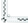 Cookie Cutter Round Smooth Cutters Set of 6 10 /