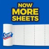 Scott Paper Towels, Choose-A-Sheet