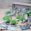 Seishin Pottery Bird & Garden Basil