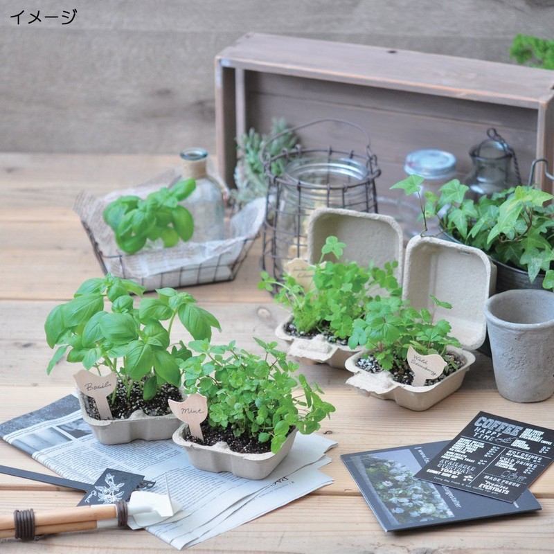 Seishin Pottery Bird & Garden Basil