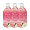 Happybath 해피바스 피오니 블로썸 바디워시 900g x3 Happybath Pioni Blossom Body Wash 900g x3