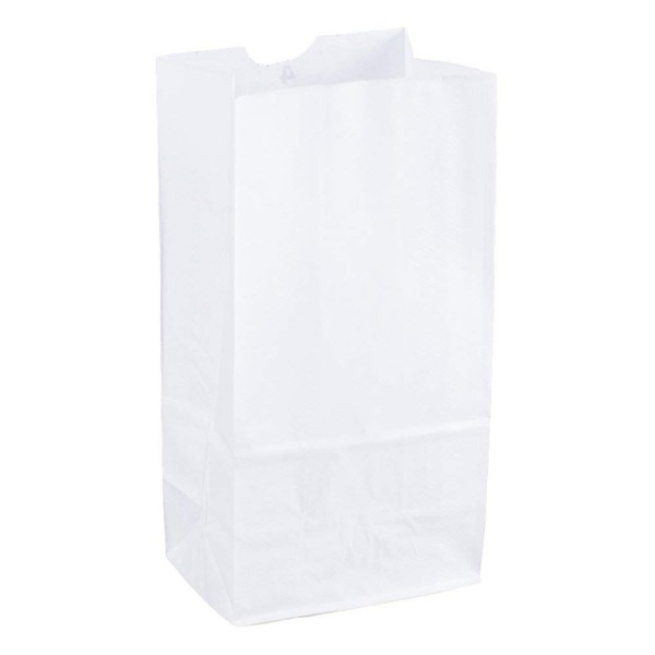8lb Kraft White Paper Bags - Pack of 100ct