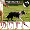 PUPTECK Chain Dog Leash Chew Proof, 2-in-1 Reflective with Soft