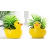 chenwen Cute animal shaped planter flower pot duck shape small