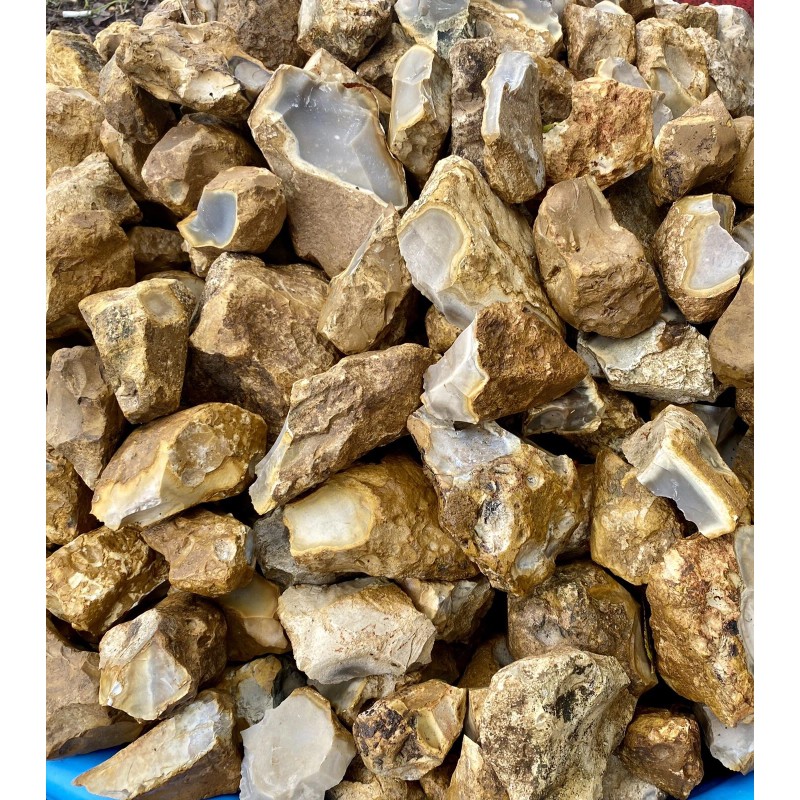 8+ POUNDS Central Texas “Edwards Plateau”Chert/