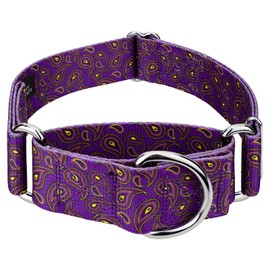 Country Brook Petz - HossFit Jr Wide Martingale Dog Collar - Paisley Collection Featuring Classy Designs (Purple Paisley, Extra Large)