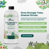 16oz Tree and Shrub Plant Food - Makes 16 Gallons