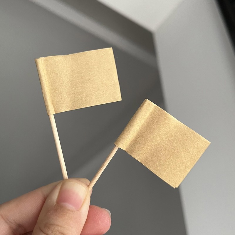 [100 Pack] Blank Toothpick Flags, Cheese Markers for Charcuterie Board