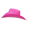 Sombrero Vaquero Texana Para Dama Fiesta Disfraz Rosa Negro