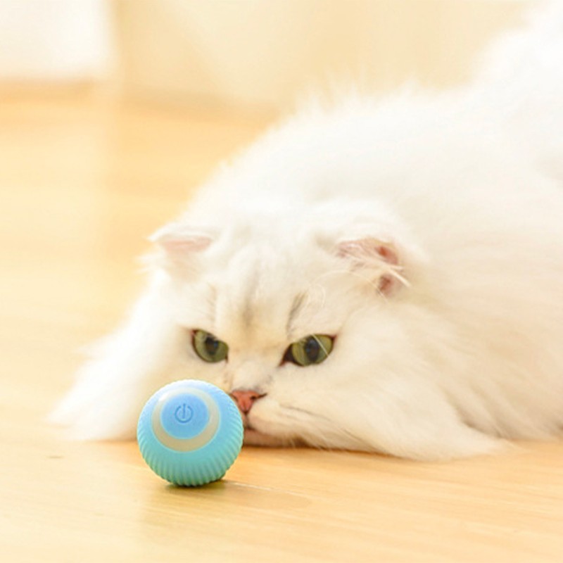 Smart Rotating Ball Built in Sound Device Interactive Automatic Moving