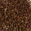 Harmony House Foods TRUE Dehydrated Pinto Beans - Easy Cook
