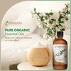 Chandeau Essentials 100% Pure Organic Essential Oil, Pure Eucalyptus Essential