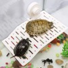 dancepandas Floating Platform Turtle 2 Pieces Acrylic Swimming Island Turtle