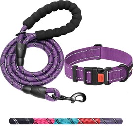 Ladoogo Heavy Duty Dog Leash - Comfortable Padded Handle, 5 ft Long - Dog Leashes for Small Medium Large Dogs (Leash+Collar S Neck 13.5"-16", Purple)