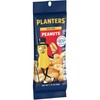 PLANTERS Salted Peanuts, Nuts Individual Packs, Party Snacks, Snack Nuts,
