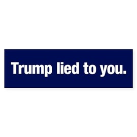CafePress Trump Lied to You (Bumper 10 Pk) Bumper Sticker 10"x3" Rectangle Bumper Sticker Car Decal (10 Pack)