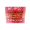 Salon Selectives 1 Bottle x Salon Selectives Color Protect Boost