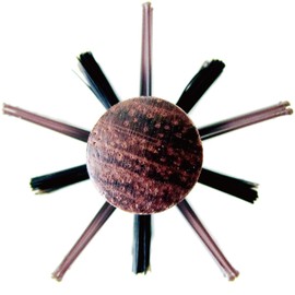 Sanby Industries LC-15 Blow Styling Brush