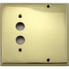 Polished Brass 2 Gang Switch Plate - 1 Push Button