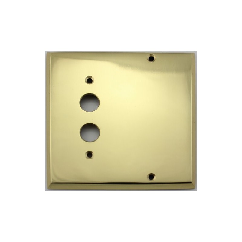 Polished Brass 2 Gang Switch Plate - 1 Push Button