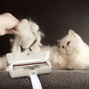 Pet Hair Removal Brush, Dog and Cat Brush, Pet Hair