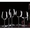 Lenox Tuscany Classics 4pc Pinot Grigio Glass Set, 2.55 LB,