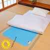 Astro 614-59 Dehumidifying Sheet, Set of 2, Single Size, Blue,
