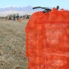 55 lb Vegetable net Bag 5, 18 "x 30" Onion