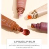 Summer Lip Butter Balm, 4 Color Hydration Moisturizing Tinted Lip