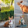 LOS ANDES Dog Slip Collar with Slidable Stopper, No Pull