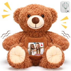 Liliful Remembrance Bear Plush Stuffed Animal with Recorder 12 inch Soft Brown Doll Fabric Animal Toy with a Picture Frame for Valentine's Day Christmas Baby Shower Birthday Gift